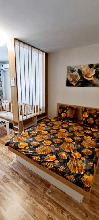 Уютная зонированная квартира