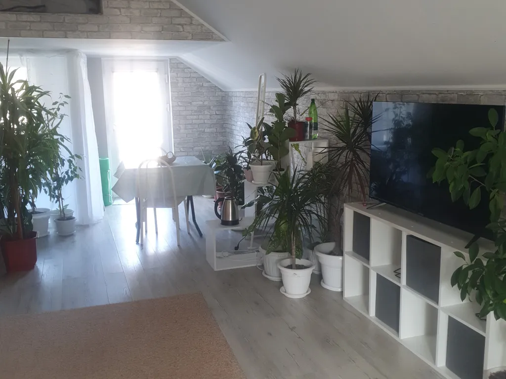 Комната в частном доме с собственной ванной комнатой