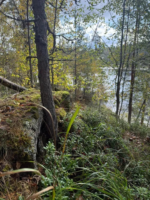 Дом на берегу залива Мусталанлахти