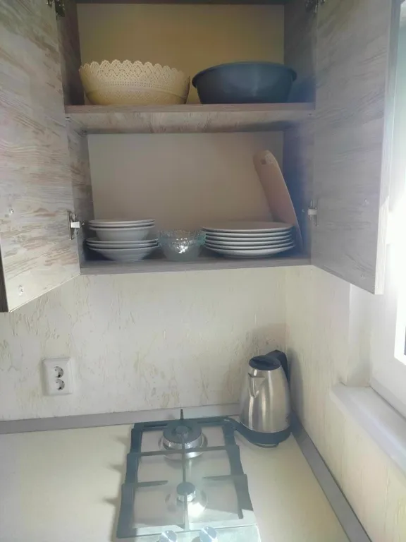 Коттедж у Романа