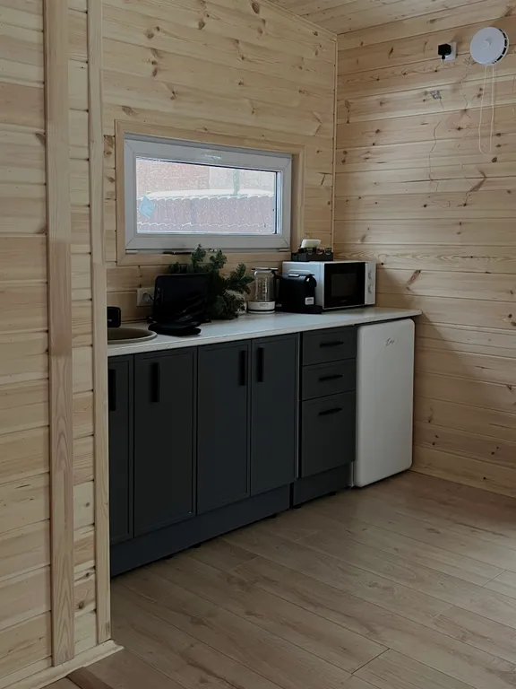 Лесной сканди домик