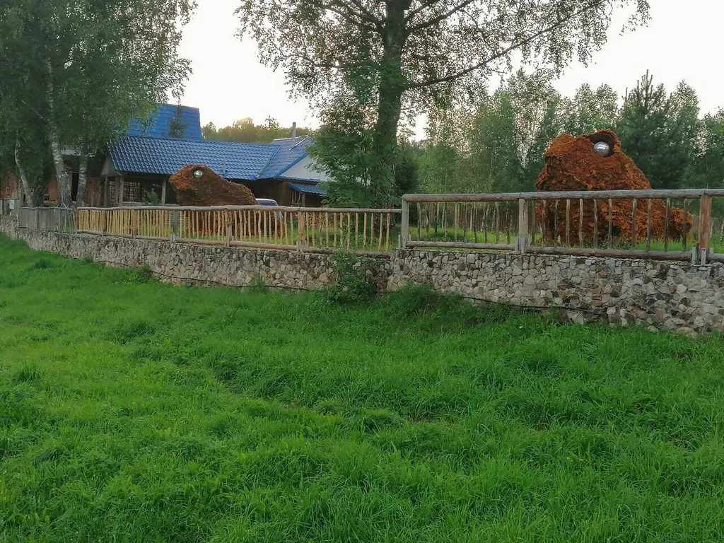 Домики в лесу на берегу реки Волге