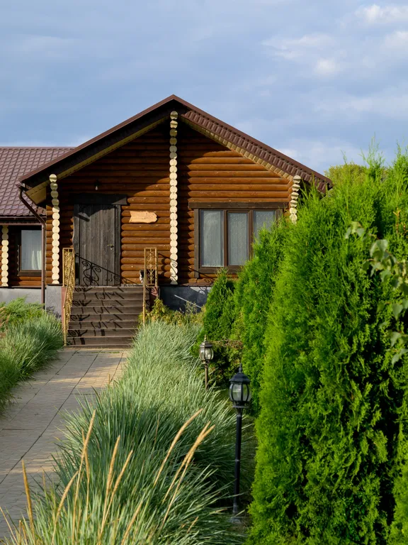 Гуси Лебеди