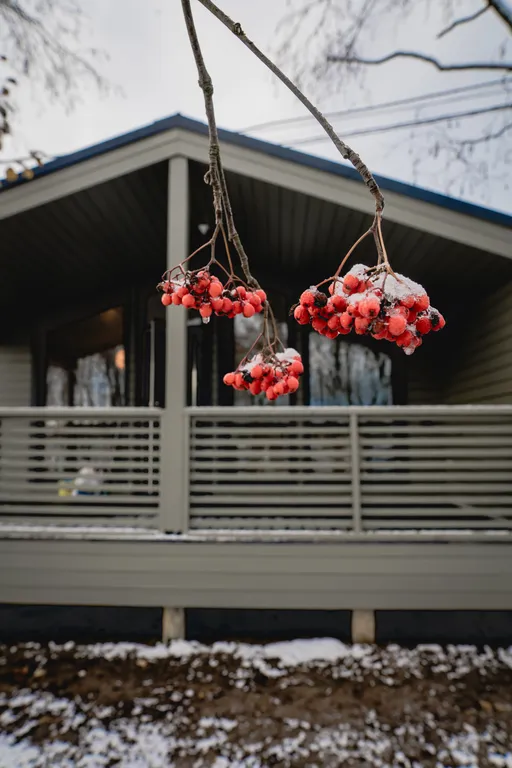 Коттедж студия