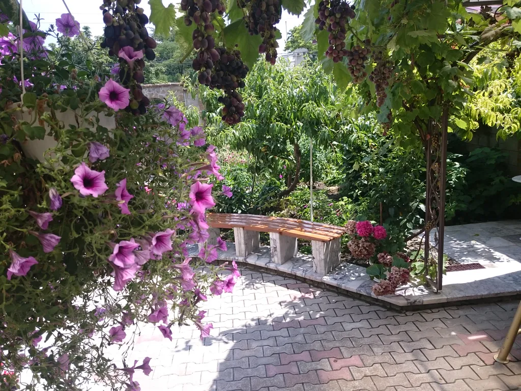 Апартаменты расположены в пешеходной зоне города Феодосия