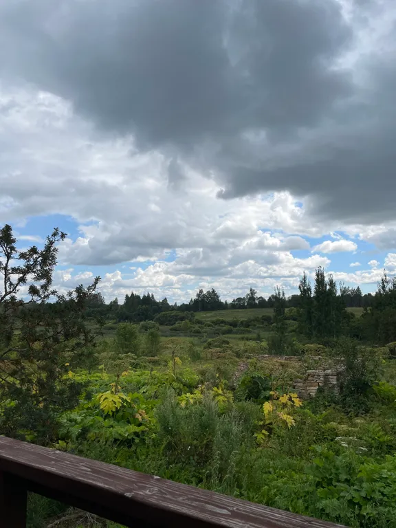 Уютный дом недалеко от Изборска