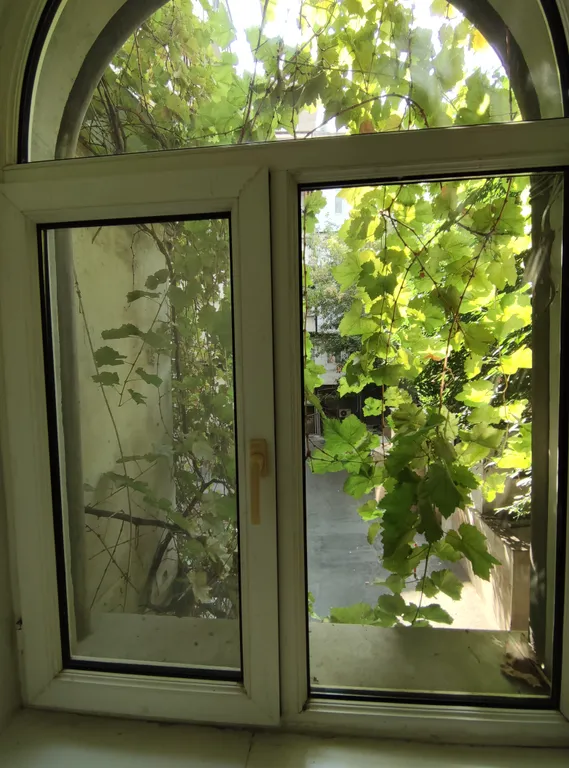 Уютная квартира в самом центре Баку