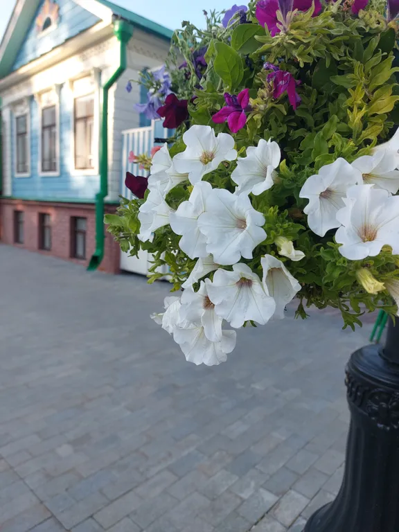 Квартира Уютная большая квартира в центре — Казань