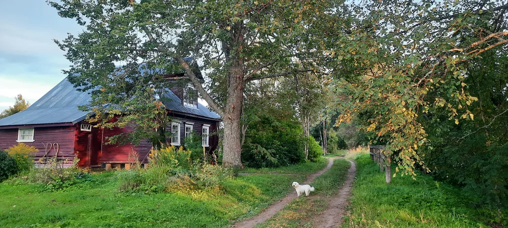 Дом под липой
