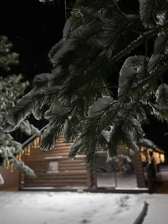 Сказочный дом в лесу