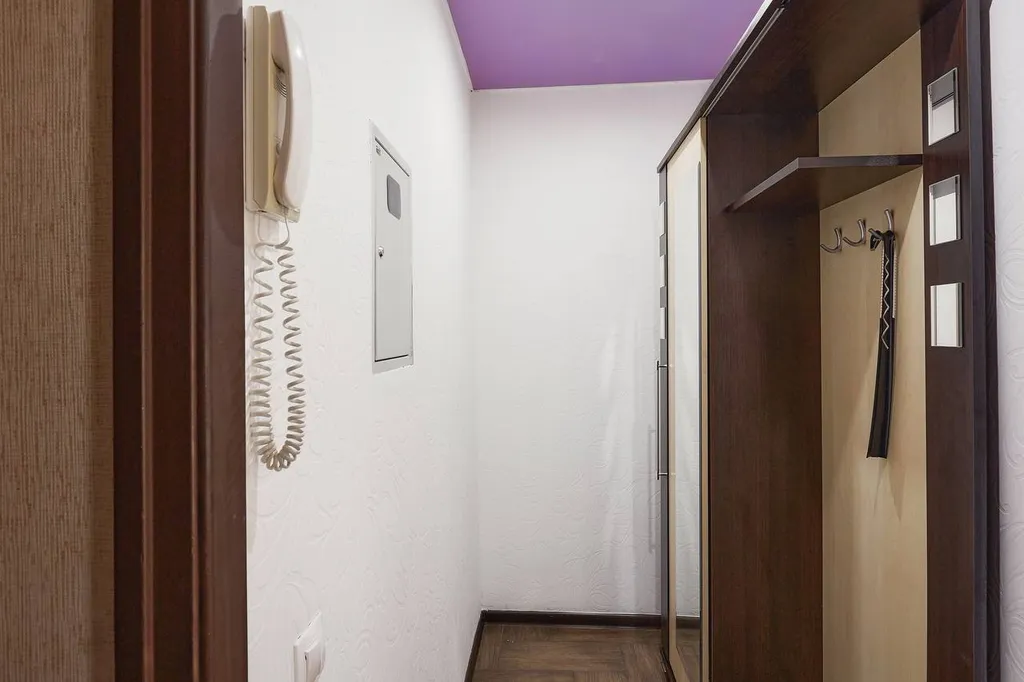 Большой 1-комнатной квартиры с видом на парк и реку