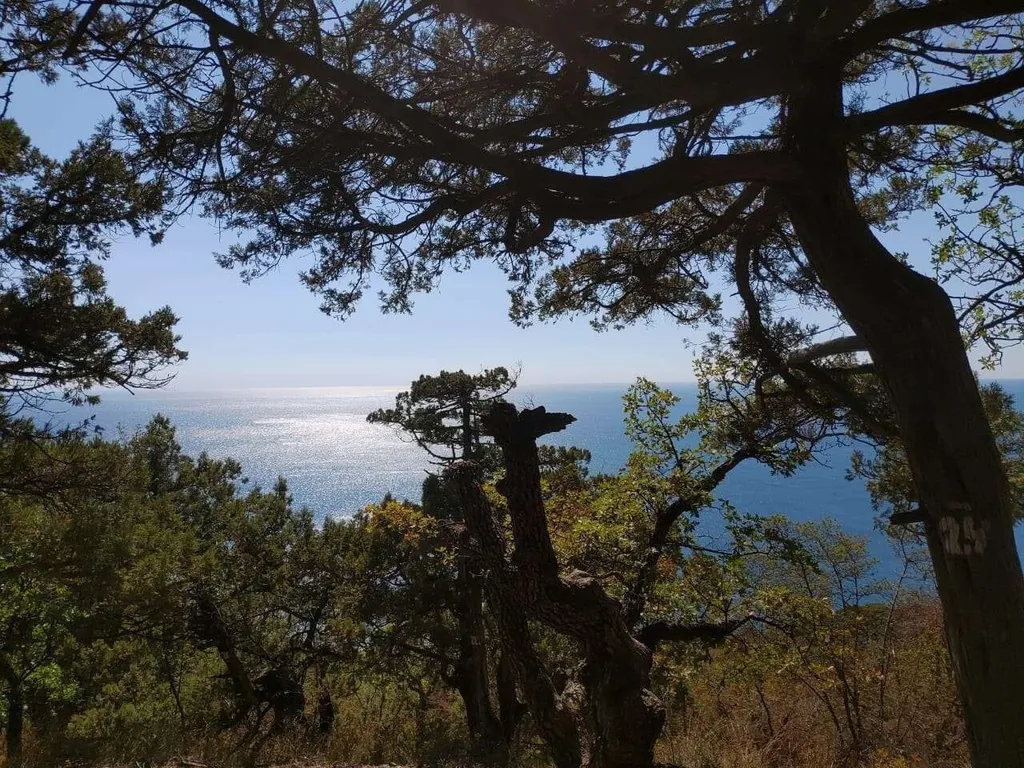 Студия Наталия в новом ЖК Холидей Хаус