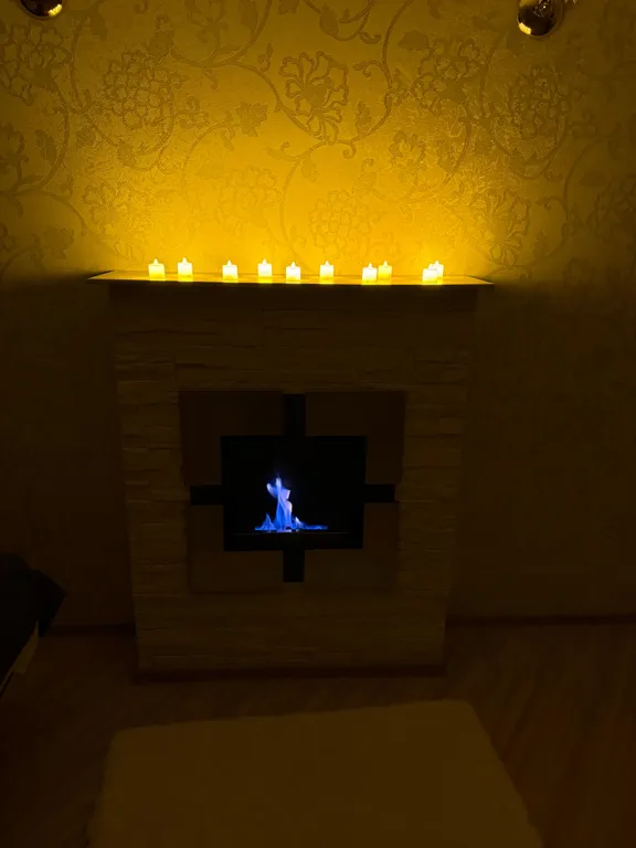 Дизайнерская двушка с биокамином