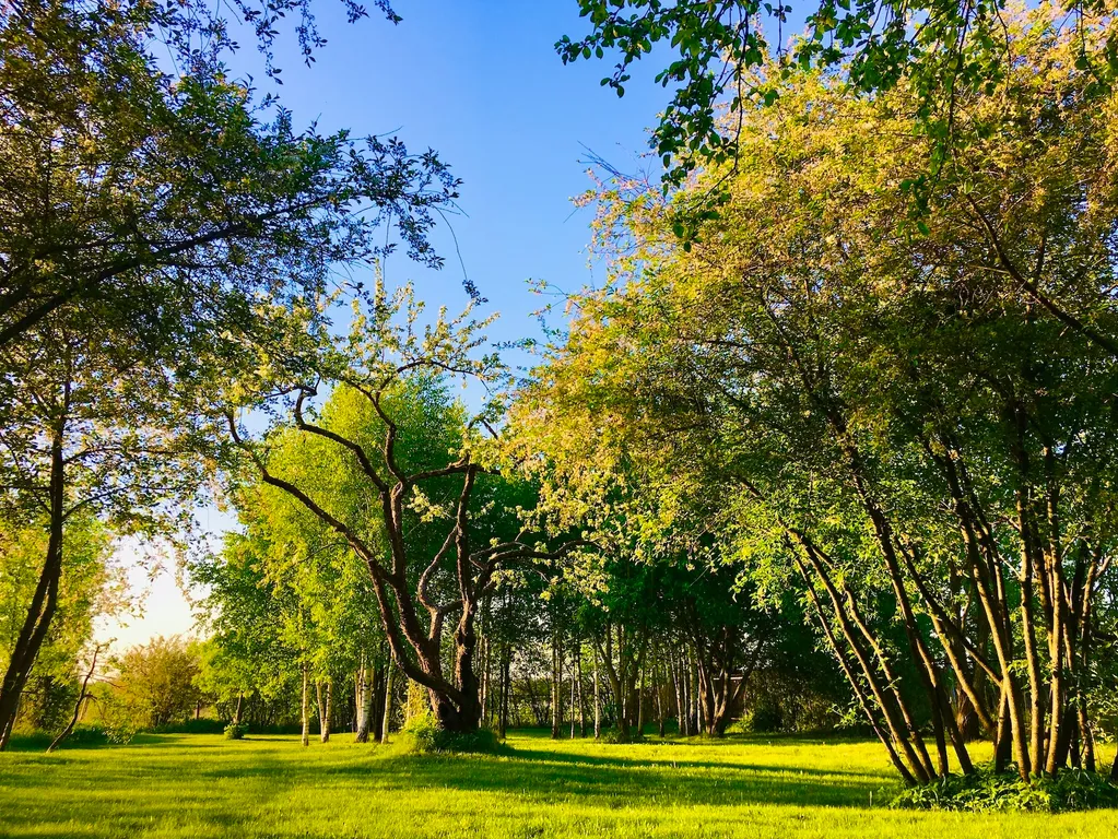 Дом Красный в Суздале