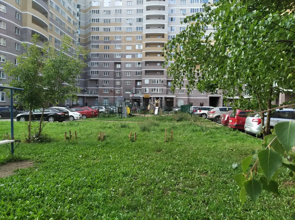 Флагмания 3d