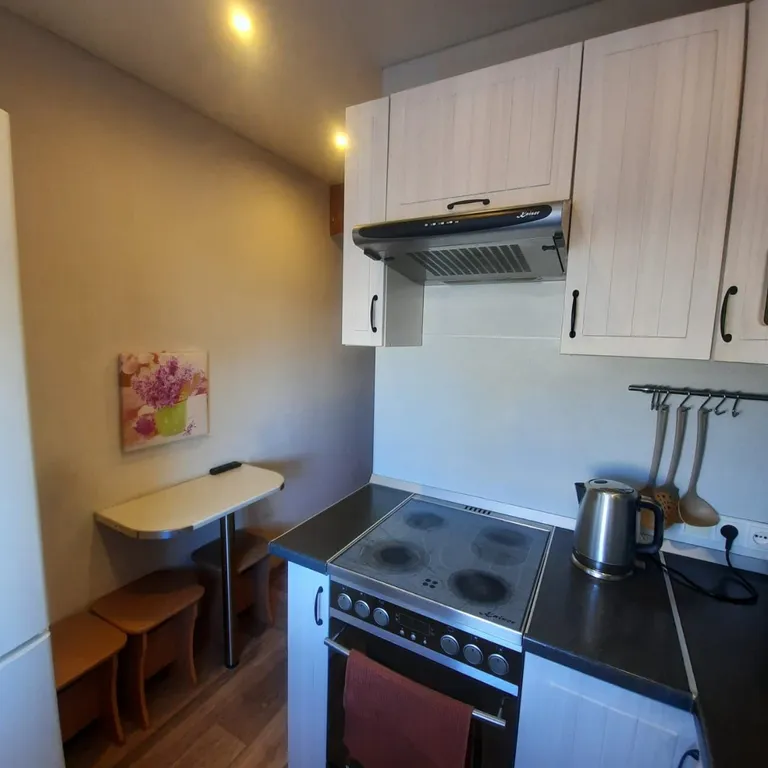 Свежая, уютная квартира в центре города с мебелью и бытовой техникой