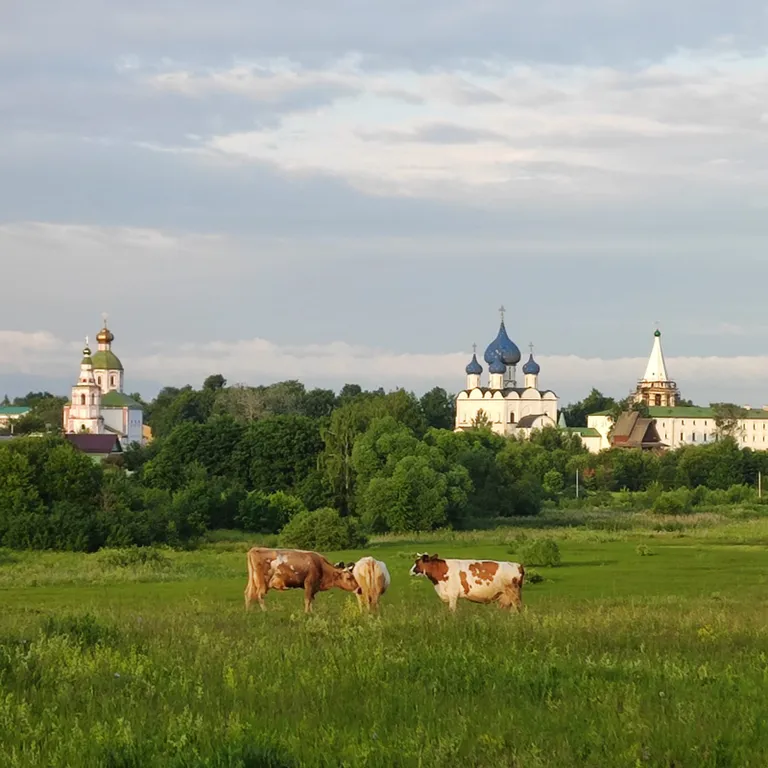 Уютная квартира в Васильевском монастыре