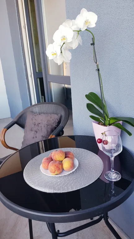 Уютная квартира с видом на лес в центре Светлогорска-2