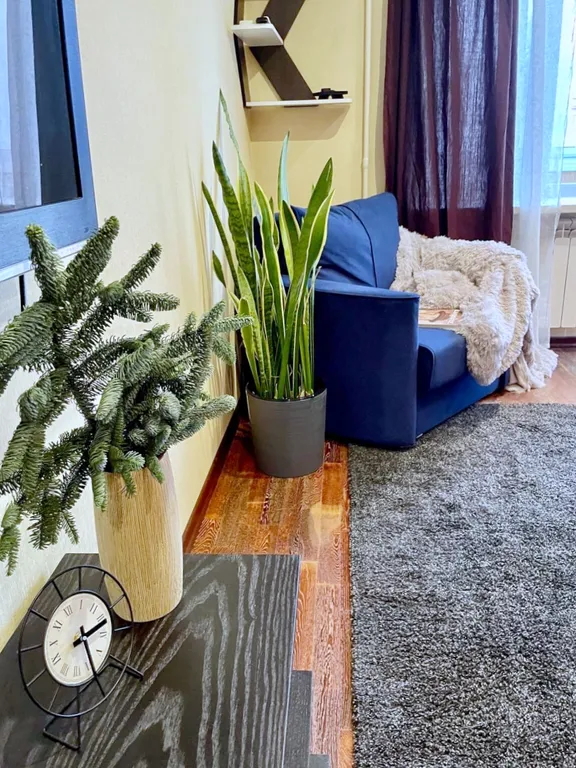 Уютная студия