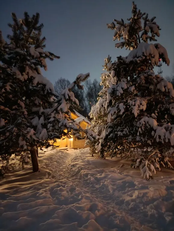 Коттедж Дом в окружении леса с камином, баня с купелью, зона барбекю — Троице-Лобаново