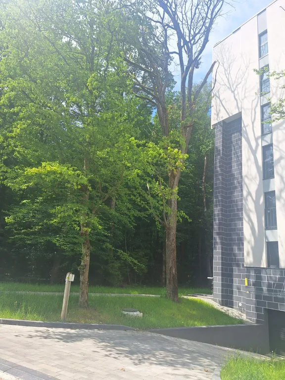 Квартира Квартира Апарт Парк — Светлогорск