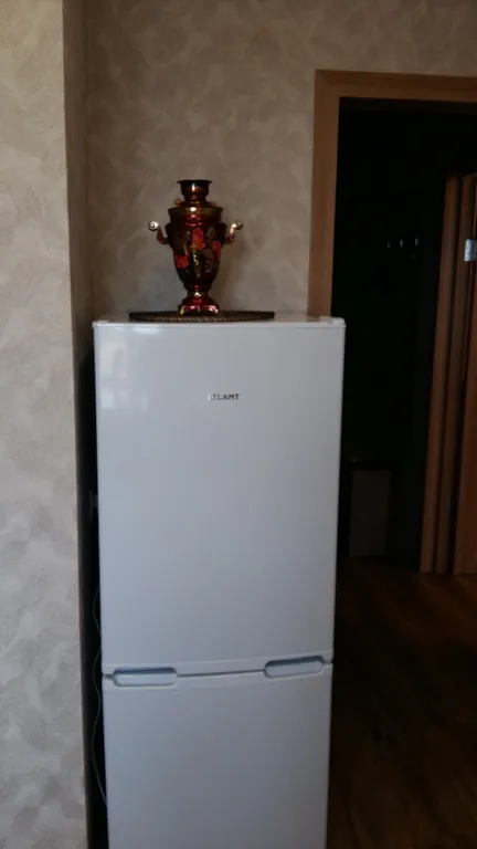 Квартира 1-комнатная Квартира — Луга