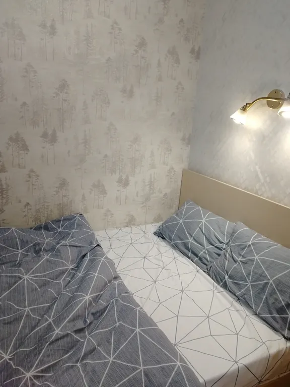 Уютная квартира в центре города, в шаговой доступности от жд вокзала — аренда посуточно в Мичуринск