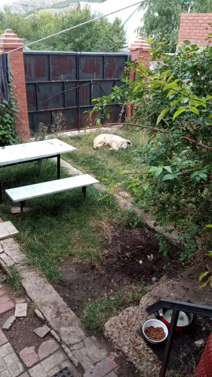 4-комнатный Дом