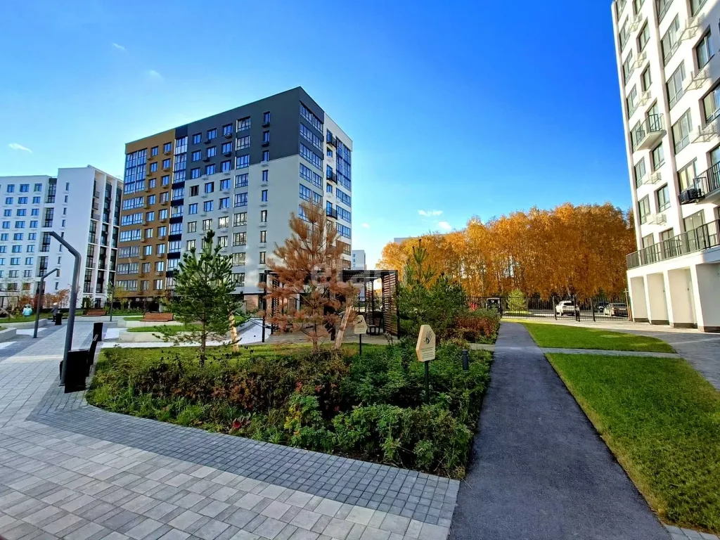 Студия у рощи