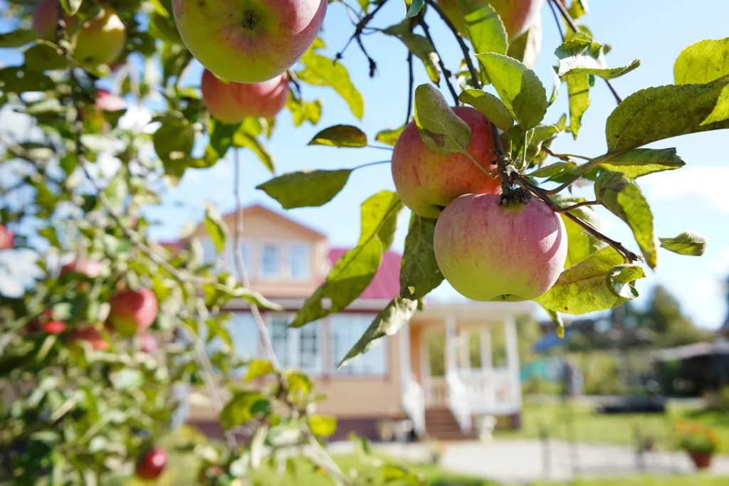 Усадьба Бёхово на Оке в Поленово
