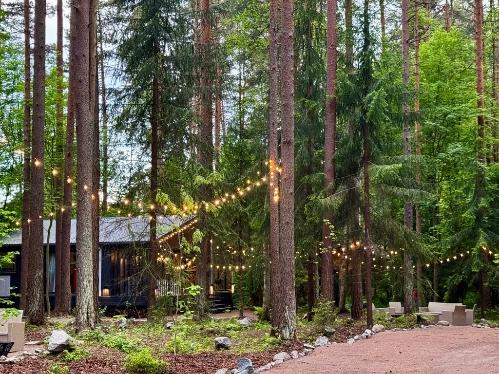 Твой дом в сосновом лесу в самом сердце Репино