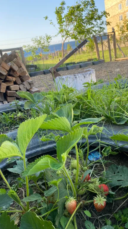 Уютная дача рядом с морем