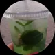 Аня