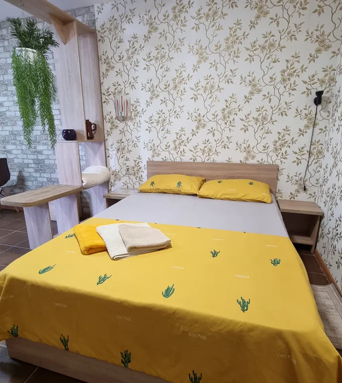 Двухкомнатные, раздельные апартаменты в центре с отдельным входом