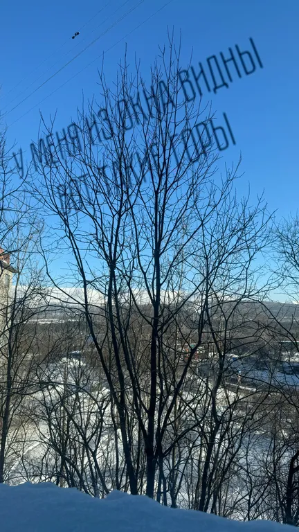 Вид на горы