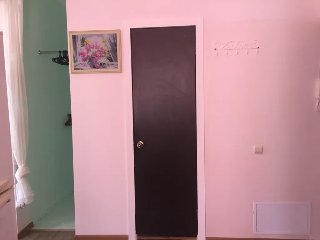 Квартира 1-комнатная квартира рядом с морем — Сочи