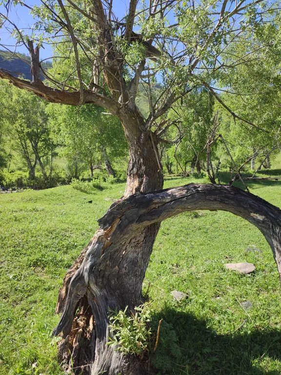 База отдыха Акбулак домики на берегу реки