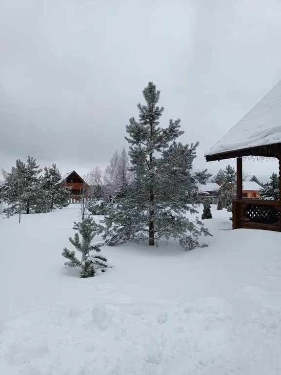 Боровики Хаус дом с камином