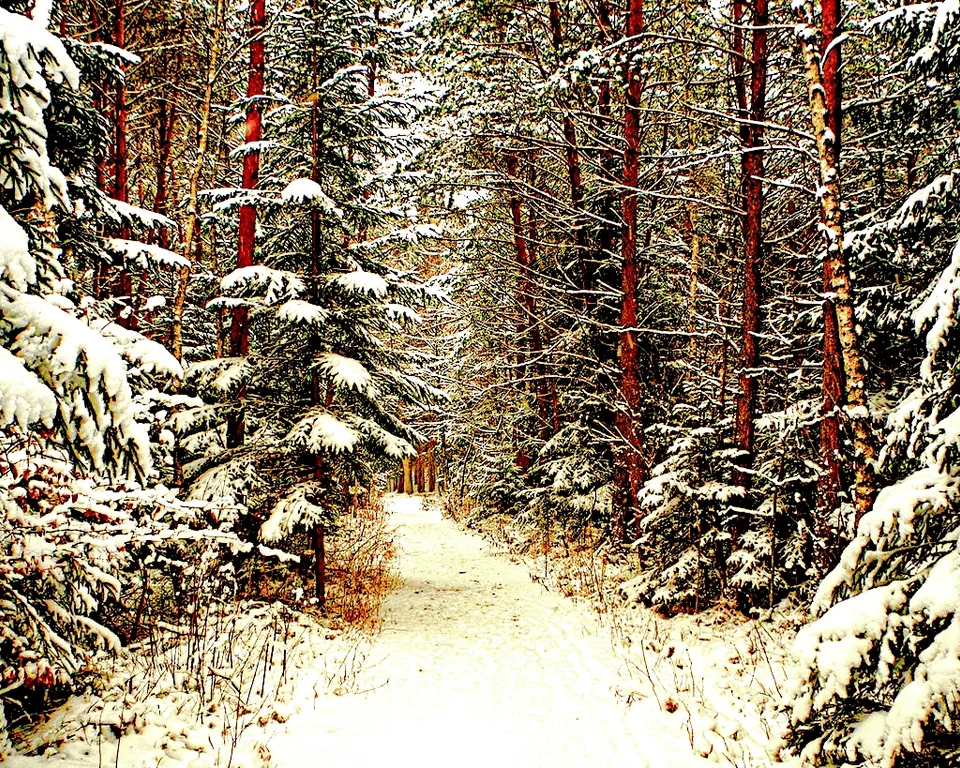 Респектабельные просторные апартаменты на Бородинском бульваре