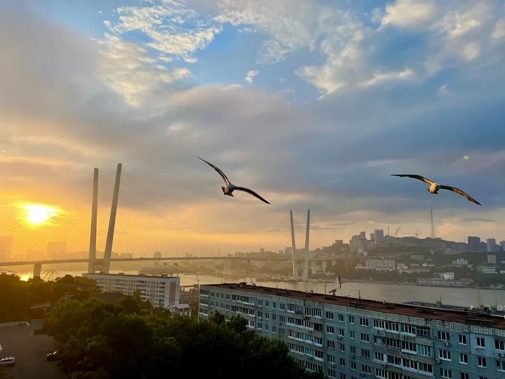 Уютная, просторная квартира с видом на бухту золотой рог