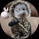Виталий