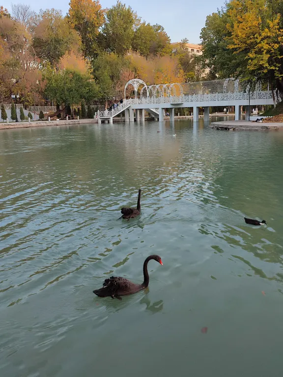 Уютная квартира рядом с метро Мирзо Улугбек и парком Гафур Гуляма