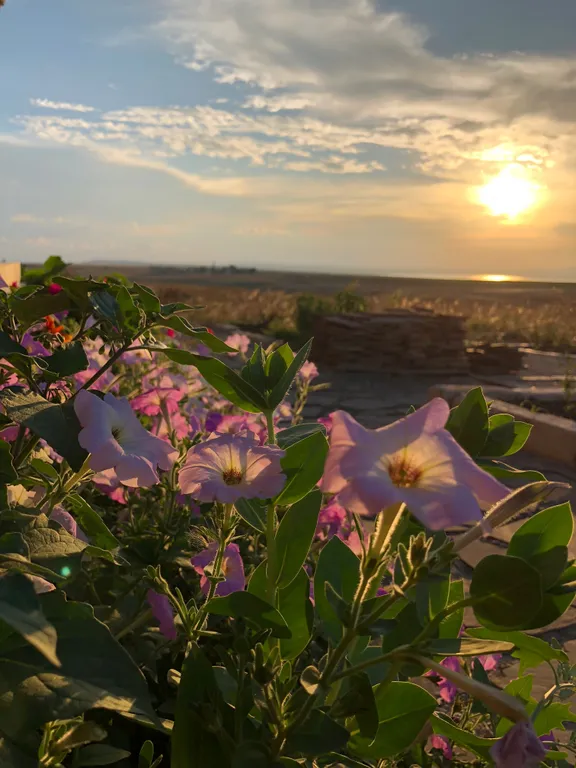 Дом с террасой с видом на море