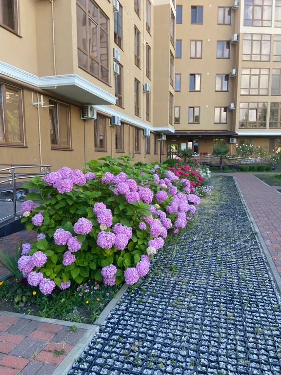 Квартира Новая светлая квартира-студия в Сочи недалеко от моря — Лазаревское