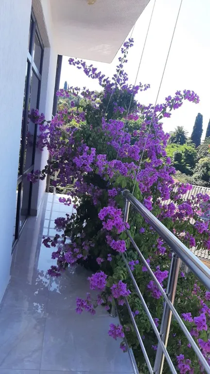 Квартира Комната — Гагра