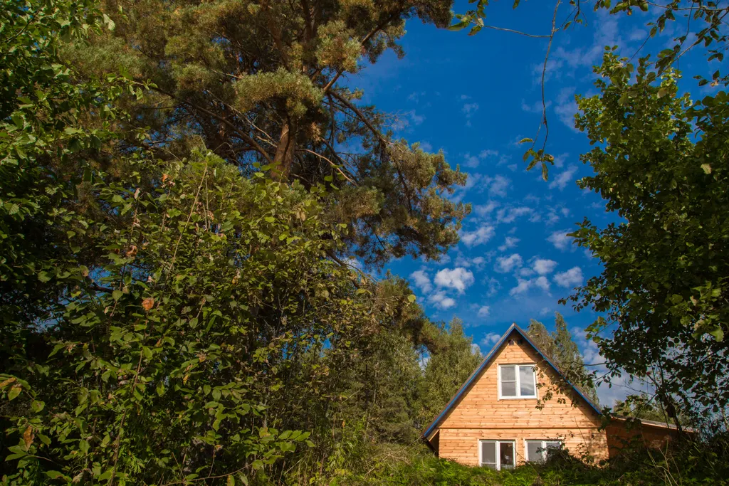 Уютный и тёплый домик на берегу реки