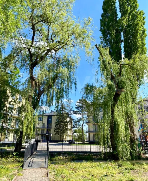 Уютная квартира в живописном месте у озера