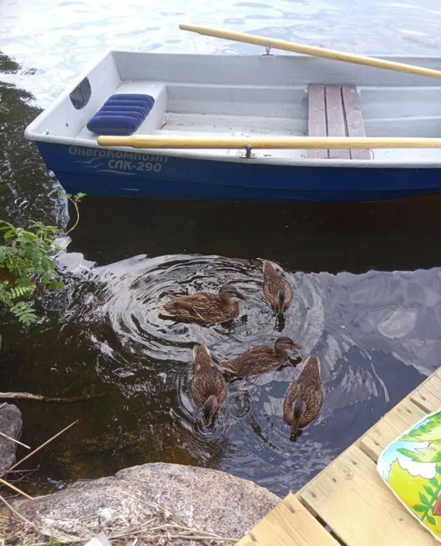 Дом на берегу озера