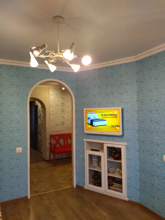 Кошкин дом рад новым гостям