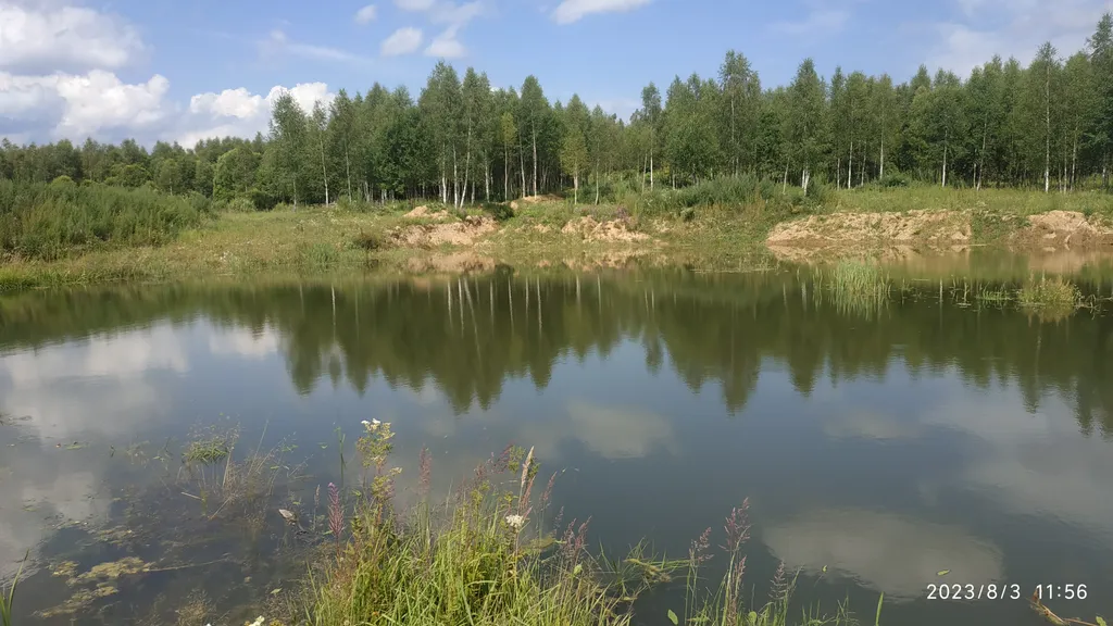 Коттедж Коттедж со своими водоемами и рыбалкой — Шаховская